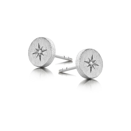 4291 Pendientes círculos brillantes plata