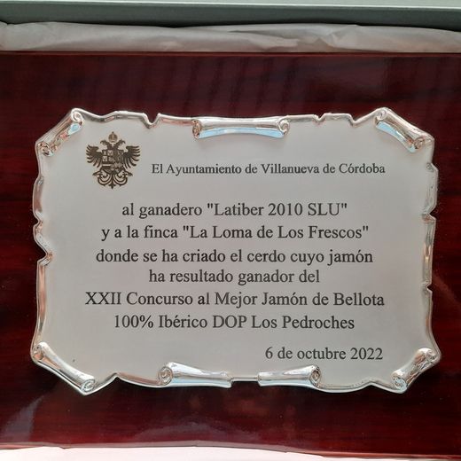 Placas conmemorativas aluminio plateado