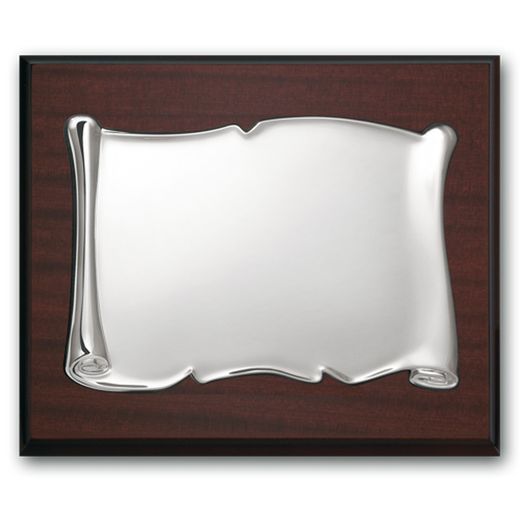 Plata 1ª ley 925