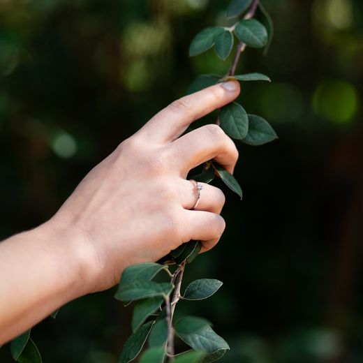 01-194407 Anillo mujer oro blanco diamante talla princesa