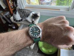 Reloj Orient automático unisex 147-RA-AC0Q11E30B cristal zafiro esfera verde