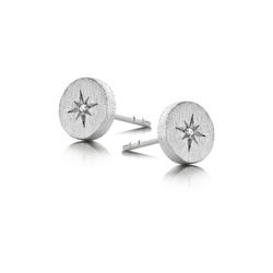 4291 Pendientes círculos brillantes plata