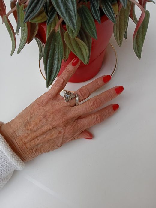 BRU0433 Anillo plata 925 con textura de mujer la bruixeta Cuarzo marrón