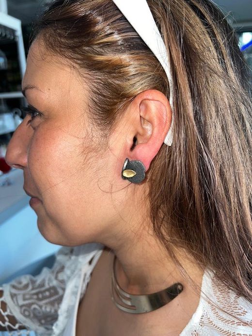 Pendientes de mujer en plata y oro cierre omega