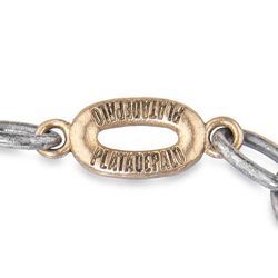 SB115X Pulsera Plata de Palo chapada en plata de 1ª ley con piezas de bronce y calavera de resina explosiva, alegre y temperamental